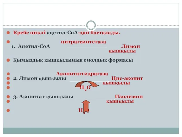 Кребс циклі ацетил-СоА-дан басталады. цитратсинтетаза 1. Ацетил-СоА Лимон қышқылы Қымыздық қышқылының