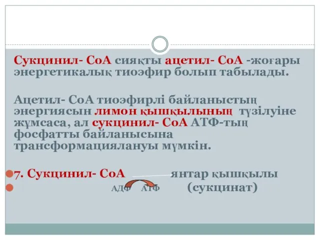 Сукцинил- СоА сияқты ацетил- СоА -жоғары энергетикалық тиоэфир болып табылады. Ацетил-