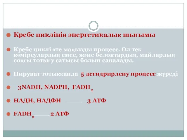 Кребс циклінің энергетикалық шығымы Кребс циклі өте маңызды процесс. Ол тек