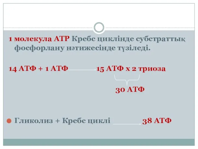 1 молекула АТР Кребс циклінде субстраттық фосфорлану нәтижесінде түзіледі. 14 АТФ