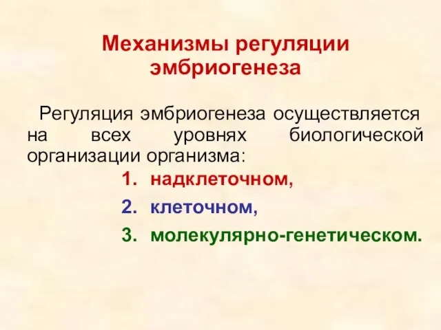 Механизмы регуляции эмбриогенеза Регуляция эмбриогенеза осуществляется на всех уровнях биологической организации организма: надклеточном, клеточном, молекулярно-генетическом.