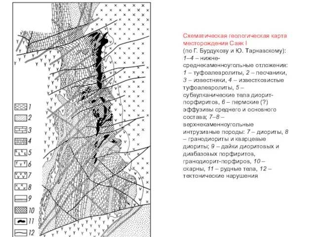 Схематическая геологическая карта месторождения Саяк I (по Г. Бурдукову и Ю.