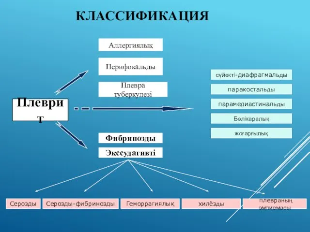 Плеврит Аллергиялық Перифокальды Плевра туберкулезі Фибринозды Экссудативті плевраның эмпиемасы паракостальды парамедиастинальды