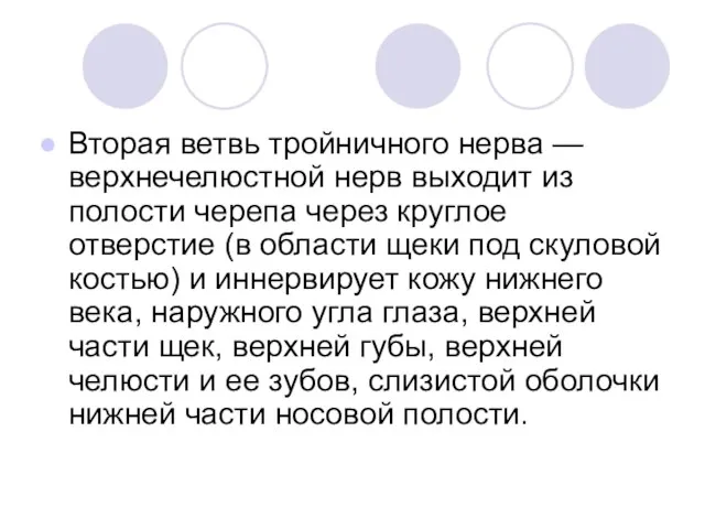 Вторая ветвь тройничного нерва — верхнечелюстной нерв выходит из полости черепа