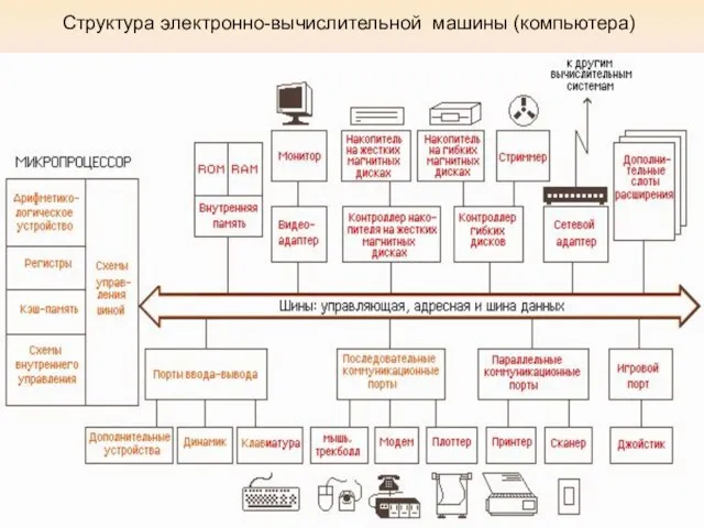 Структура электронно-вычислительной машины (компьютера)