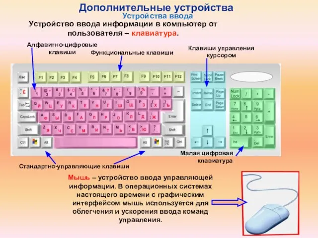 Устройство ввода информации в компьютер от пользователя – клавиатура. Функциональные клавиши