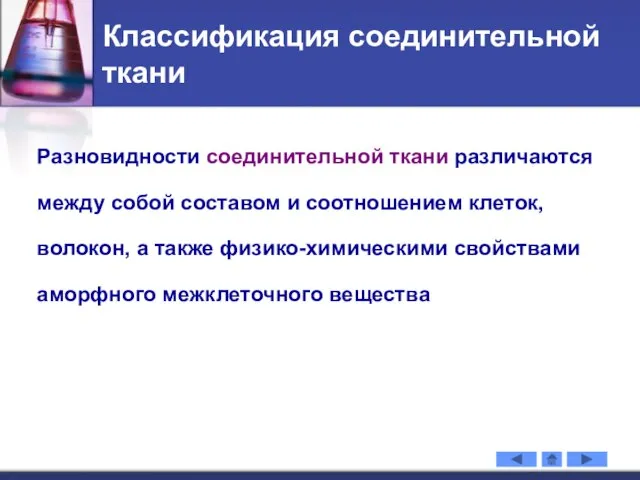 Классификация соединительной ткани Разновидности соединительной ткани различаются между собой составом и