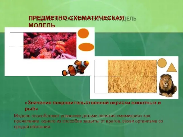 «Значение покровительственной окраски животных и рыб» Модель способствует усвоению детьми понятия