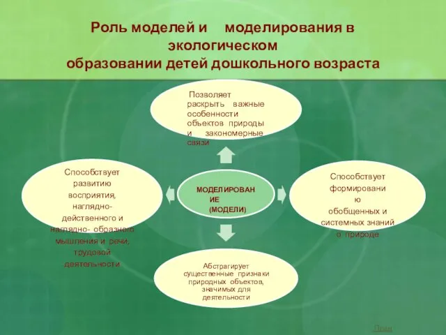 Роль моделей и моделирования в экологическом образовании детей дошкольного возраста МОДЕЛИРОВАНИЕ