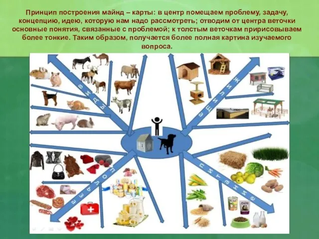 Принцип построения майнд – карты: в центр помещаем проблему, задачу, концепцию,