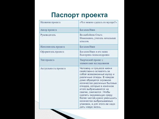 Паспорт проекта