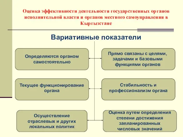 Вариативные показатели Оценка эффективности деятельности государственных органов исполнительной власти и органов