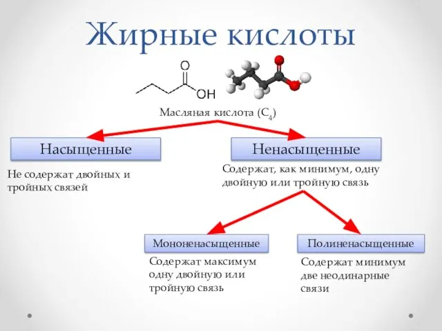 Жирные кислоты Масляная кислота (С4) Насыщенные Ненасыщенные Мононенасыщенные Полиненасыщенные Не содержат