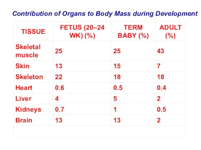 Contribution of Organs to Body Mass during Development
