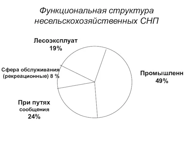 Функциональная структура несельскохозяйственных СНП Сфера обслуживания (рекреационные) 8 %
