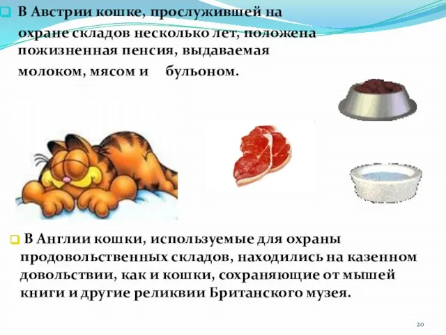 В Австрии кошке, прослужившей на охране складов несколько лет, положена пожизненная