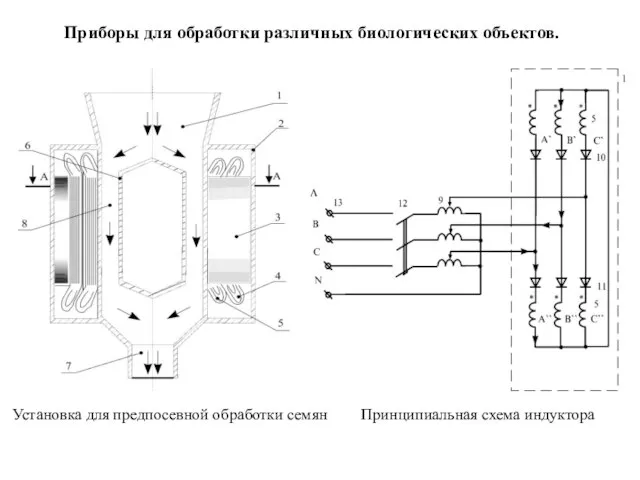 Установка для предпосевной обработки семян Принципиальная схема индуктора Приборы для обработки различных биологических объектов.