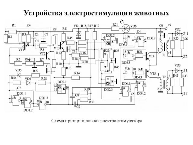 Устройства электростимуляции животных Схема принципиальная электростимулятора