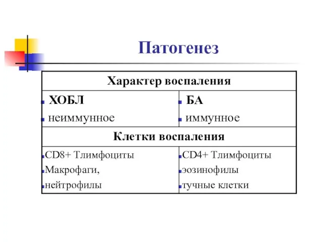 Патогенез