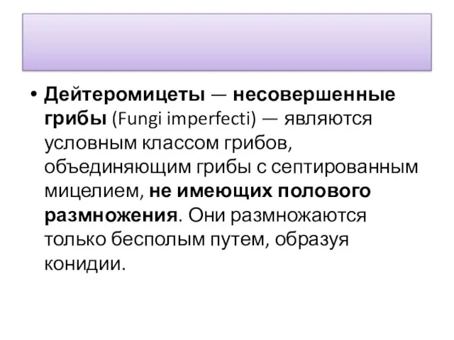 Дейтеромицеты — несовершенные грибы (Fungi imperfecti) — являются условным классом грибов,