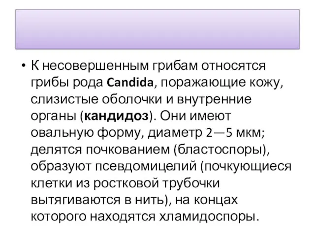 К несовершенным грибам относятся грибы рода Candida, поражающие кожу, слизистые оболочки