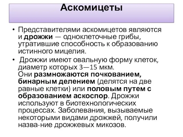 Аскомицеты Представителями аскомицетов являются и дрожжи — одноклеточные грибы, утратившие способность