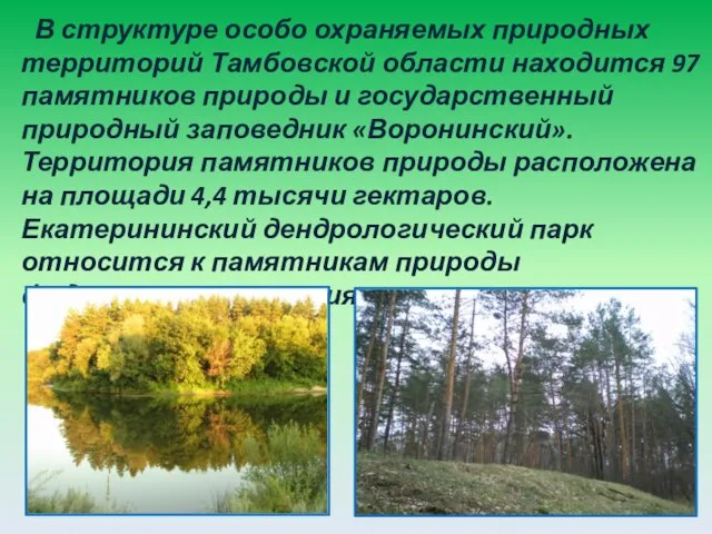В структуре особо охраняемых природных территорий Тамбовской области находится 97 памятников