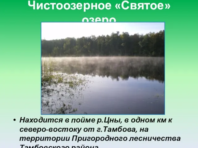 Чистоозерное «Святое» озеро Находится в пойме р.Цны, в одном км к