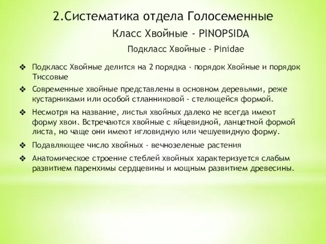 2.Систематика отдела Голосеменные Класс Хвойные - PINOPSIDA Подкласс Хвойные - Pinidae