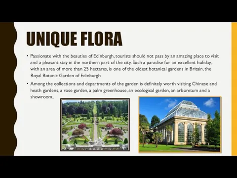 UNIQUE FLORA Passionate with the beauties of Edinburgh, tourists should not