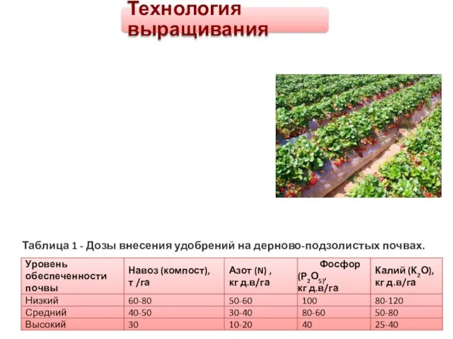 Технология выращивания Таблица 1 - Дозы внесения удобрений на дерново-подзолистых почвах.