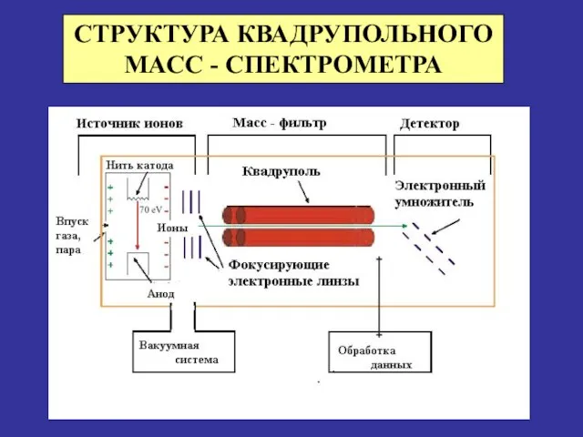 СТРУКТУРА КВАДРУПОЛЬНОГО МАСС - СПЕКТРОМЕТРА