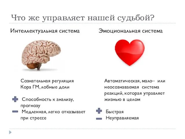 Что же управляет нашей судьбой? Автоматическая, мало– или неосознаваемая система реакций,