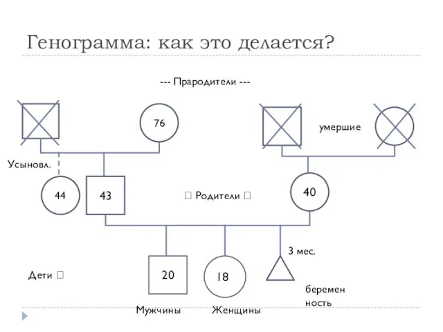 20 76 Генограмма: как это делается? 43 44 188 Мужчины Женщины