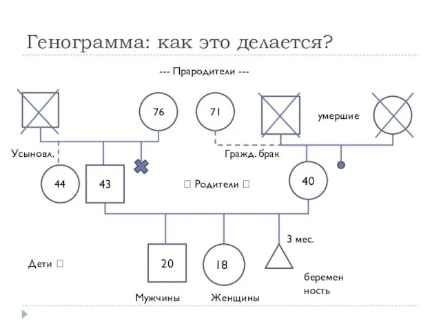 20 76 Генограмма: как это делается? 43 71 44 188 Мужчины