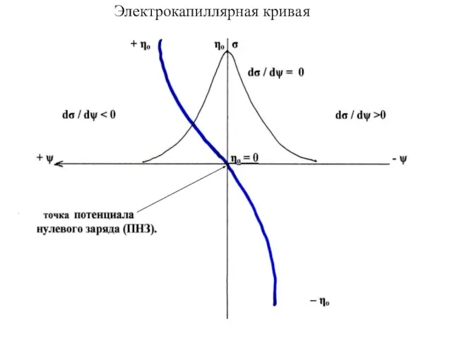 Электрокапиллярная кривая