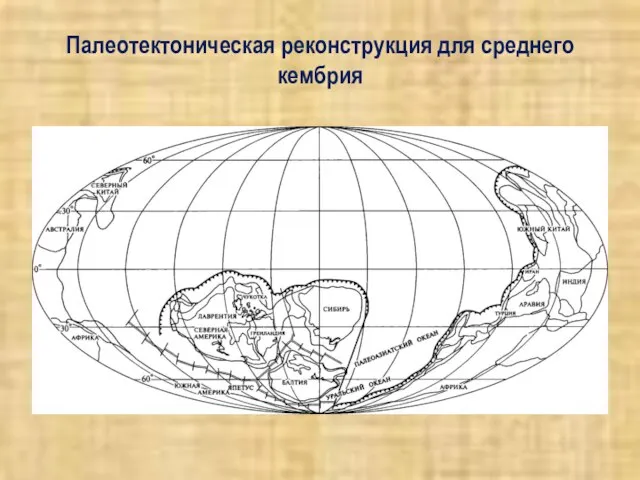 Палеотектоническая реконструкция для среднего кембрия