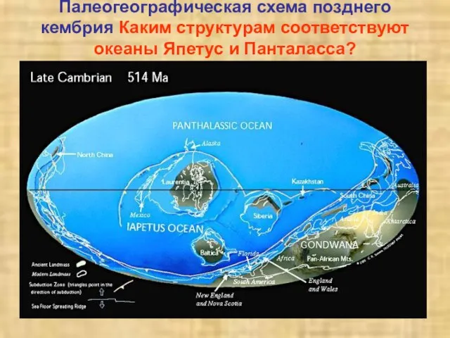Палеогеографическая схема позднего кембрия Каким структурам соответствуют океаны Япетус и Панталасса?