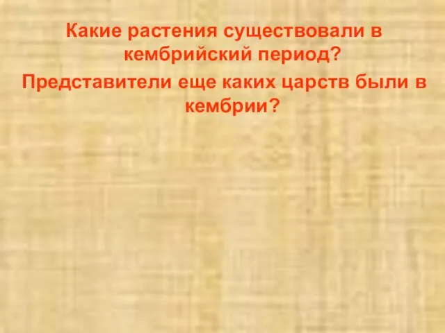 Какие растения существовали в кембрийский период? Представители еще каких царств были в кембрии?