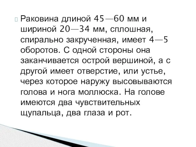 Раковина длиной 45—60 мм и шириной 20—34 мм, сплошная, спирально закрученная,