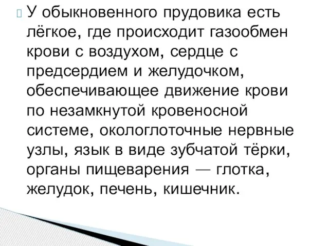 У обыкновенного прудовика есть лёгкое, где происходит газообмен крови с воздухом,