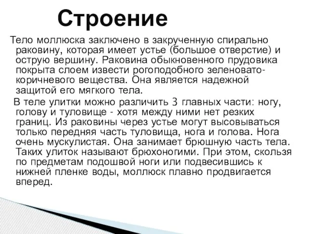 Тело моллюска заключено в закрученную спирально раковину, которая имеет устье (большое