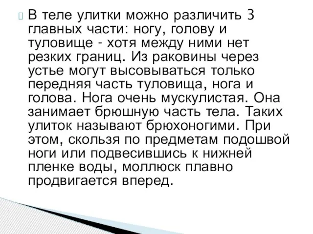 В теле улитки можно различить 3 главных части: ногу, голову и