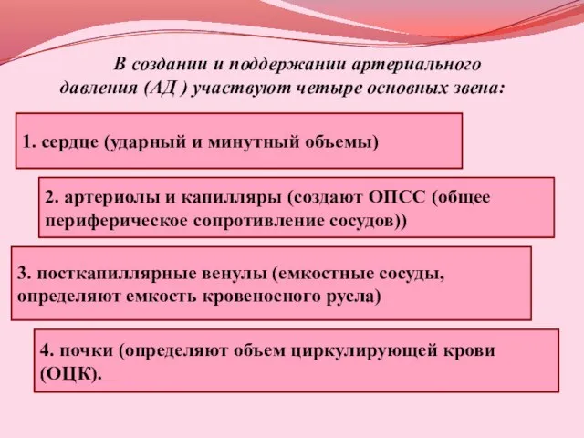 В создании и поддержании артериального давления (АД ) участвуют четыре основных