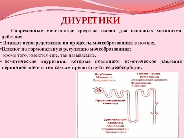 Современные мочегонные средства имеют два основных механизма действия – Влияют непосредственно