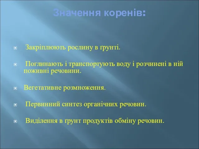 Значення коренів: Закріплюють рослину в ґрунті. Поглинають і транспортують воду і