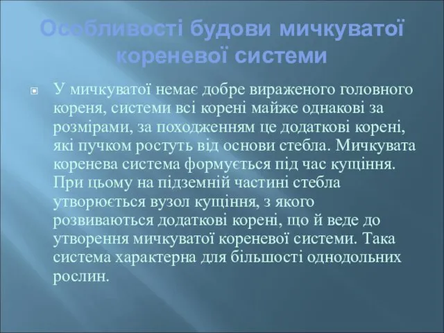 Особливості будови мичкуватої кореневої системи У мичкуватої немає добре вираженого головного