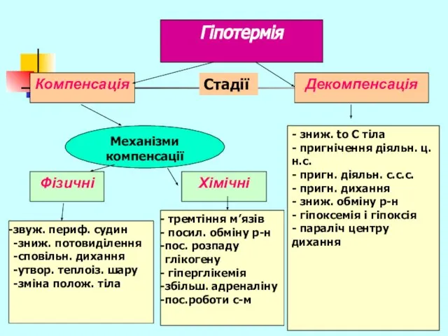 Гіпотермія Компенсація Механізми компенсації Декомпенсація Стадії Фізичні Хімічні звуж. периф. судин