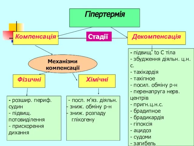 Гіпертермія Компенсація Механізми компенсації Декомпенсація Стадії Фізичні Хімічні - розшир. периф.