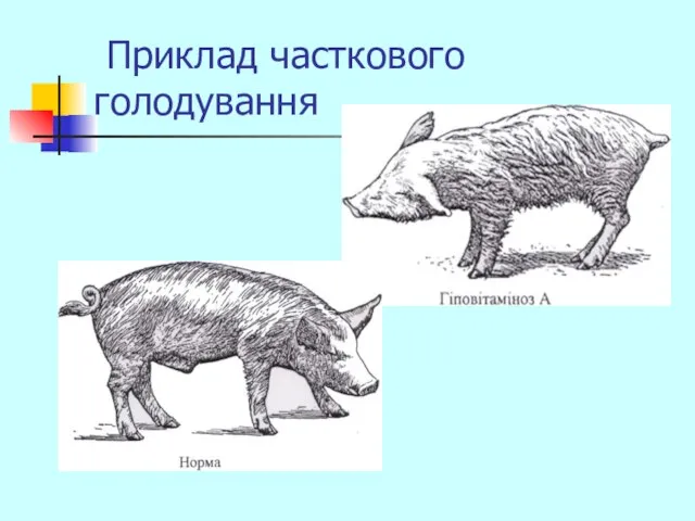 Приклад часткового голодування